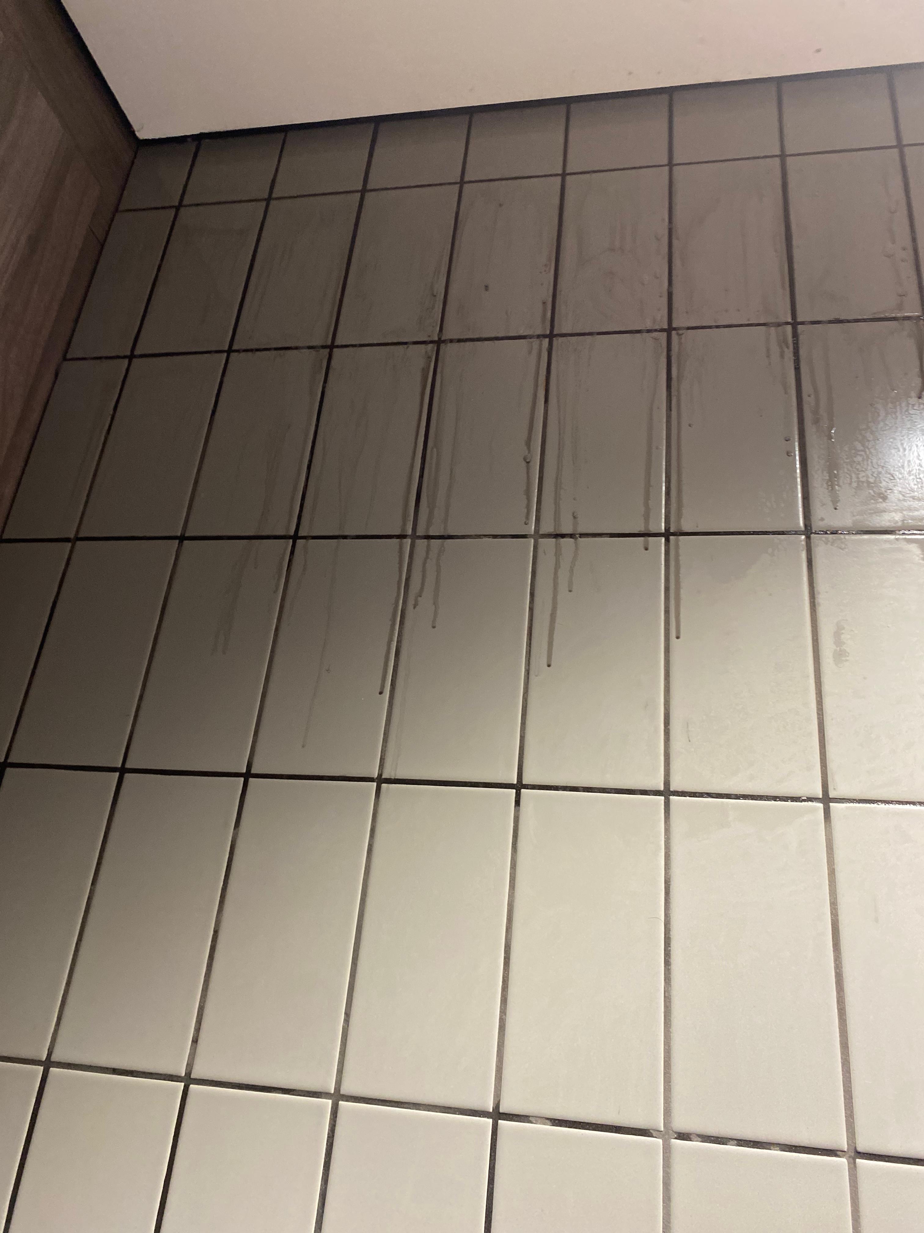 Tile and grout before cleaning
